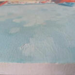 Additional views 9