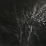 Painting titled "Le vieil arbre  " by David Géry, Original Artwork, Wood