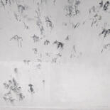 Additional views 6