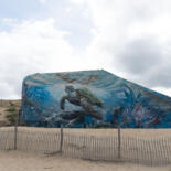 Belangrijkste afbeelding