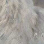 Λεπτομέρειες