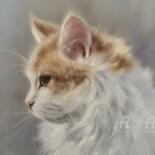 Λεπτομέρειες