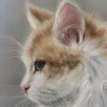 Λεπτομέρειες