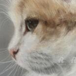 Λεπτομέρειες