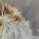 Λεπτομέρειες