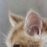 Λεπτομέρειες