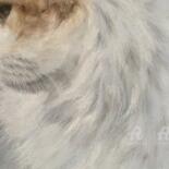 Λεπτομέρειες