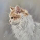 Κύρια εικόνα