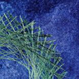 Surface ou texture de l'œuvre