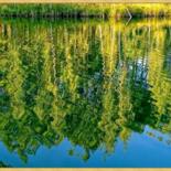 Çerçeveli olarak sunulan çalışma