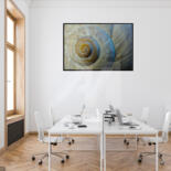 Artwork in situation