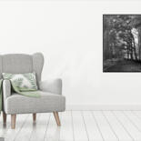 Artwork in situation