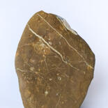 Сторона работы