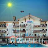 Belangrijkste afbeelding