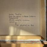 Дополнительные снимки 11