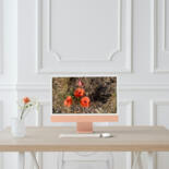 Kunstwerk in situatie