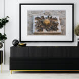 Werk ingelijst gepresenteerd