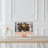 Kunstwerk in situatie