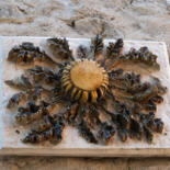 Belangrijkste afbeelding