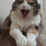 Κύρια εικόνα