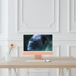 Kunstwerk in situatie