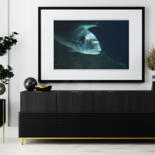 Werk ingelijst gepresenteerd