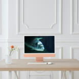 Kunstwerk in situatie