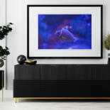 Werk ingelijst gepresenteerd