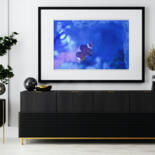 Werk ingelijst gepresenteerd