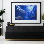 Werk ingelijst gepresenteerd