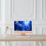 Kunstwerk in situatie