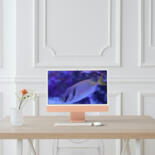 Kunstwerk in situatie