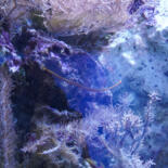 Belangrijkste afbeelding