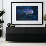 Werk ingelijst gepresenteerd