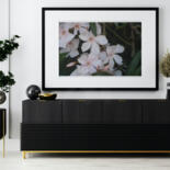 Werk ingelijst gepresenteerd