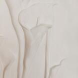 Vues supplémentaires 10