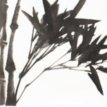 Artwork in situation