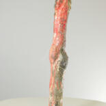 Vistas adicionais 12