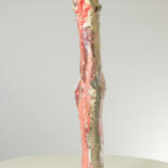 Vistas adicionais 12