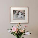 Επιπλέον θέα 6