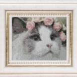 Κύρια εικόνα