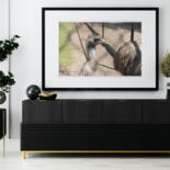 Work presented framed