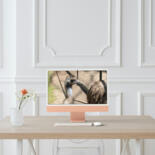 Artwork in situation