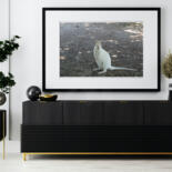 Werk ingelijst gepresenteerd