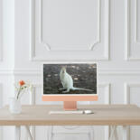 Kunstwerk in situatie