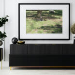 Werk ingelijst gepresenteerd