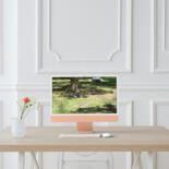 Kunstwerk in situatie