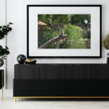 Werk ingelijst gepresenteerd