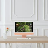 Kunstwerk in situatie