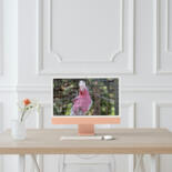 Kunstwerk in situatie